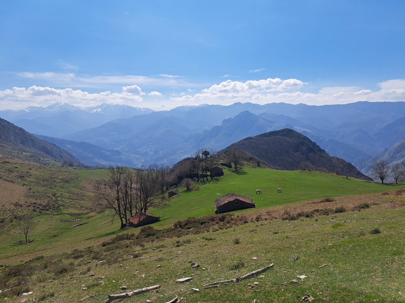 Fotografía de Braña de Tene