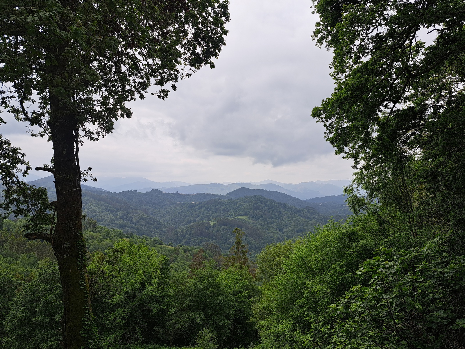 Fotografía de Peña Cabrera