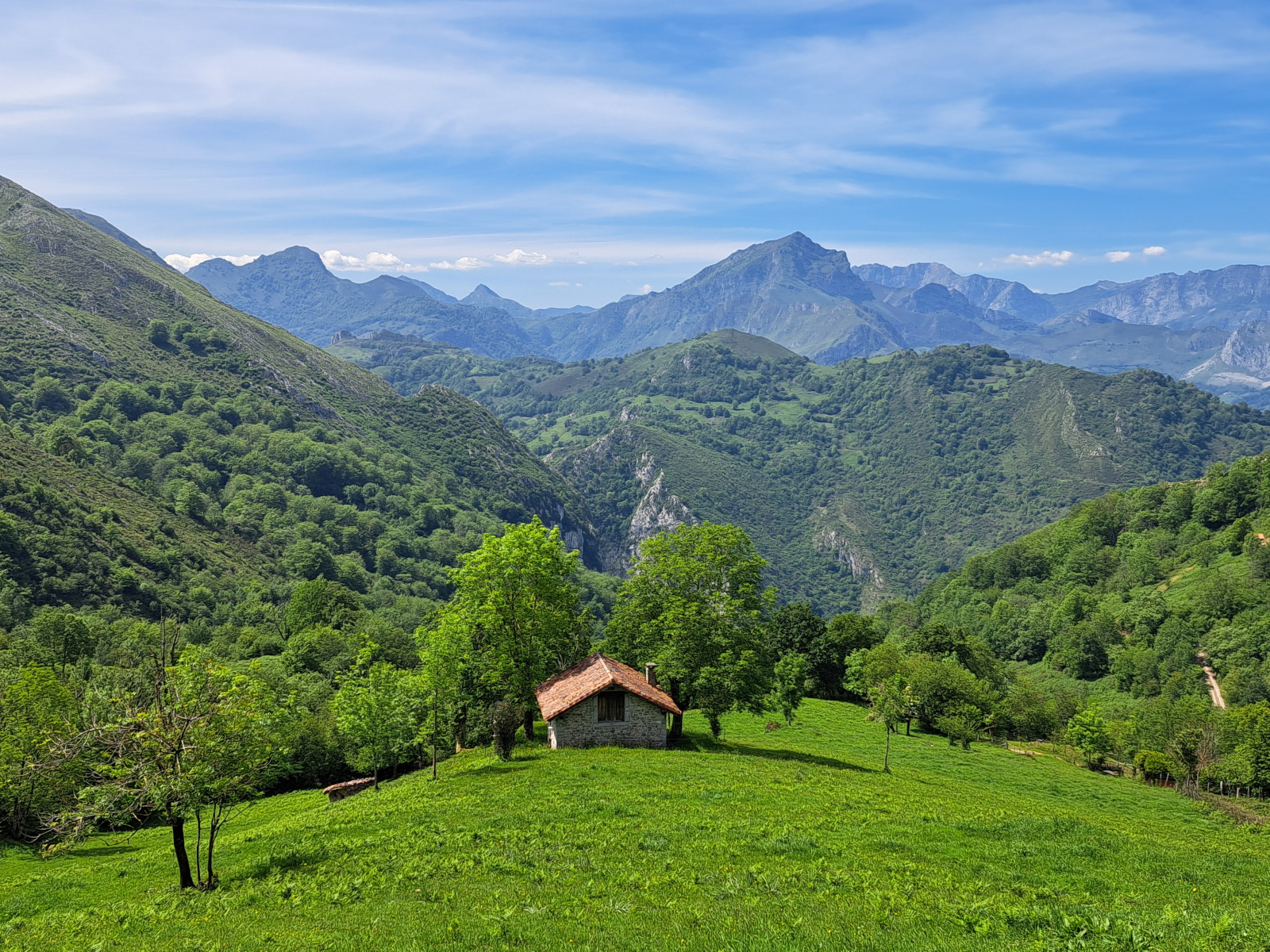 Fotografía de Porros de Vizcalluenga