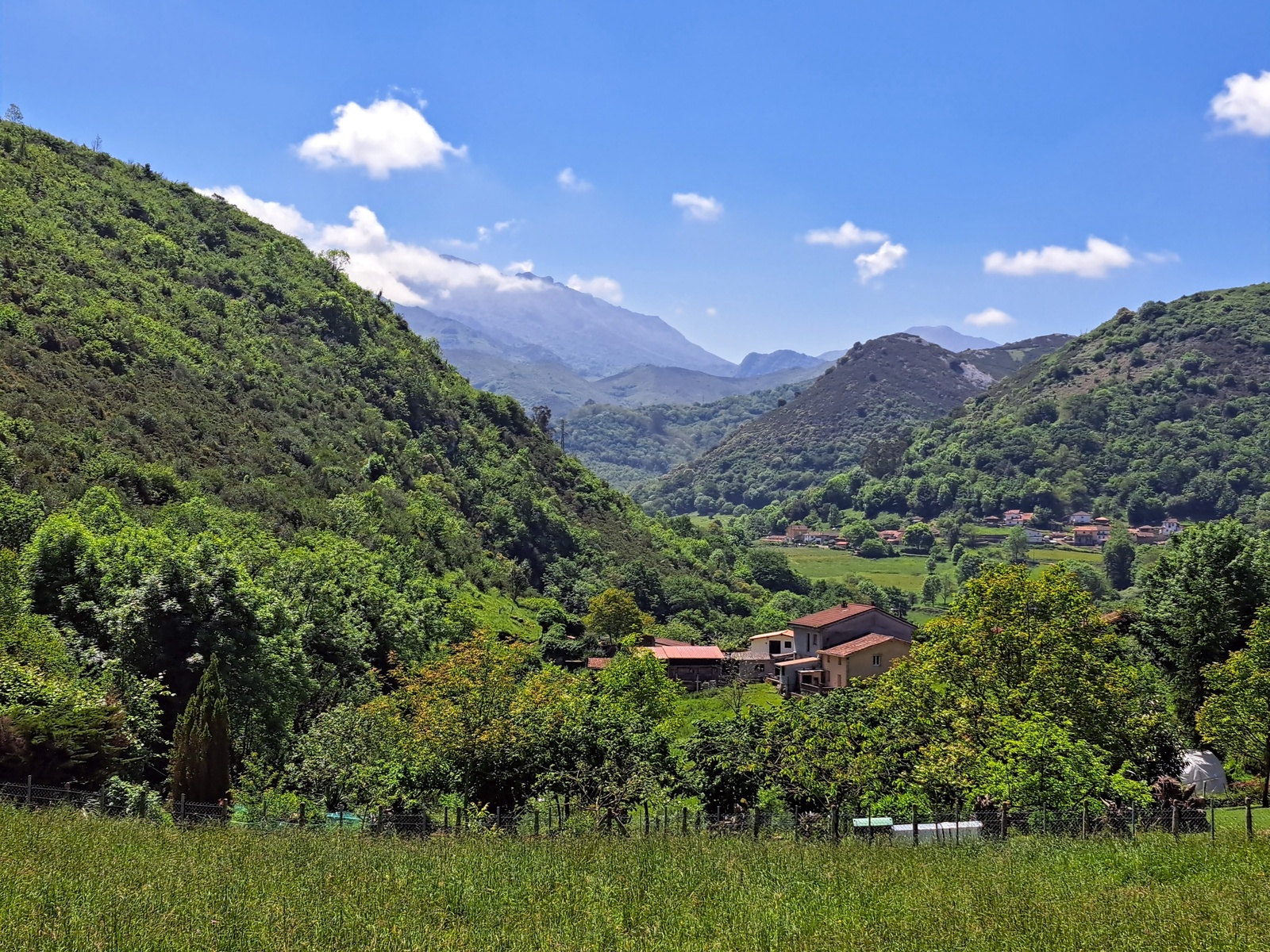 Fotografía de Ruta de la Salamandra