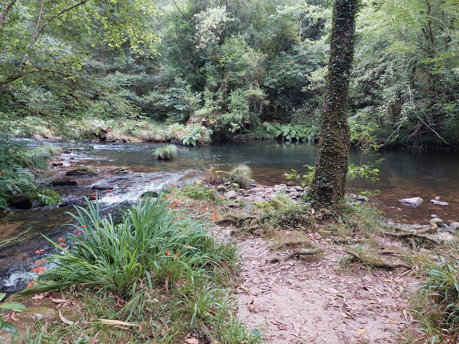 Fotografía de Souto da Retorta